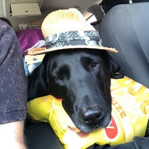 Meet your Posher, Derek